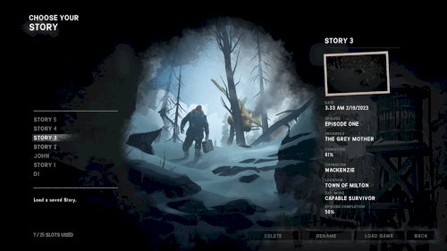 Screenshot of The Long Dark