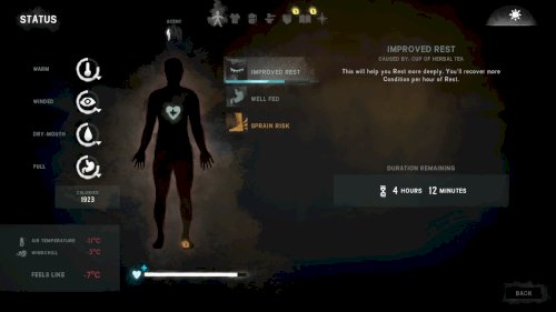 Screenshot of The Long Dark