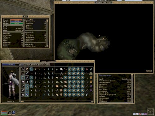 Screenshot of The Elder Scrolls III: Morrowind
