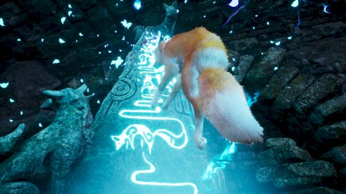 Screenshot of Spirit of the North