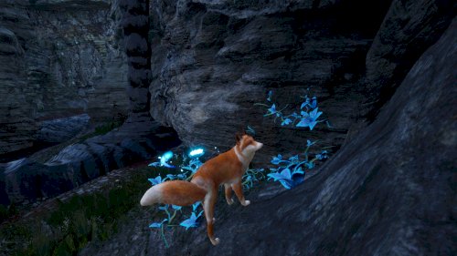 Screenshot of Spirit of the North