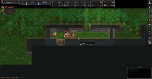 Screenshot of ADOM (Ancient Domains Of Mystery)