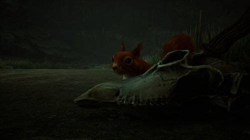 Screenshot of Hogwarts Legacy