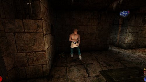 Screenshot of Arx Fatalis