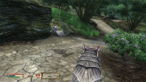 Screenshot of The Elder Scrolls IV: Oblivion Game of the Year Edition (2009)