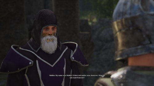 Screenshot of King's Bounty II