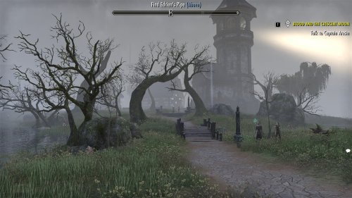 Screenshot of The Elder Scrolls Online