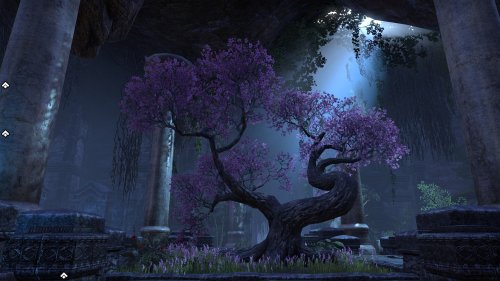 Screenshot of The Elder Scrolls Online
