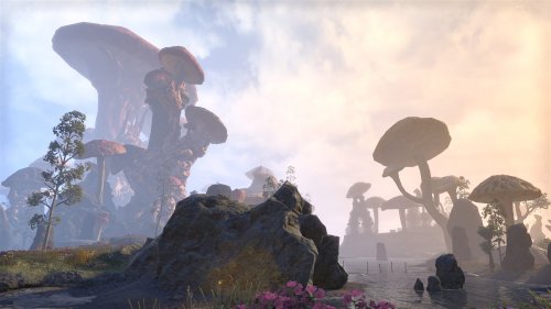 Screenshot of The Elder Scrolls Online