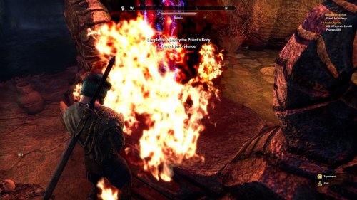 Screenshot of The Elder Scrolls Online
