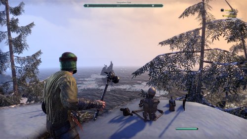 Screenshot of The Elder Scrolls Online