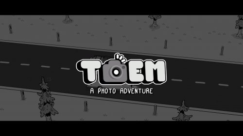 Screenshot of TOEM