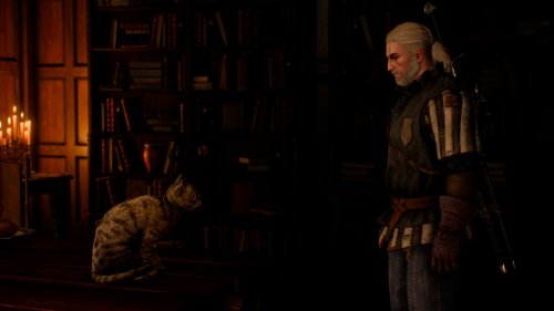 Screenshot of The Witcher 3: Wild Hunt