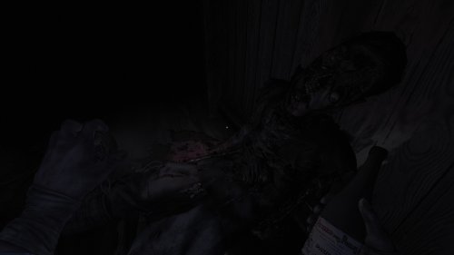 Screenshot of Amnesia: The Bunker