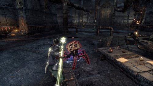 Screenshot of The Elder Scrolls Online