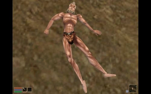 Screenshot of The Elder Scrolls III: Morrowind