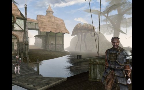 Screenshot of The Elder Scrolls III: Morrowind