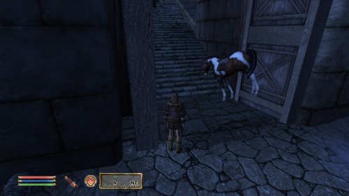 Screenshot of The Elder Scrolls IV: Oblivion Game of the Year Edition (2009)