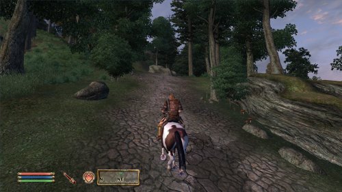 Screenshot of The Elder Scrolls IV: Oblivion Game of the Year Edition (2009)