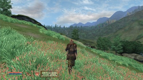 Screenshot of The Elder Scrolls IV: Oblivion Game of the Year Edition (2009)