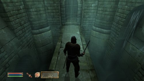 Screenshot of The Elder Scrolls IV: Oblivion Game of the Year Edition (2009)
