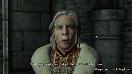 Screenshot of The Elder Scrolls IV: Oblivion Game of the Year Edition (2009)