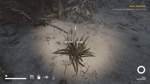 Screenshot of Desolate