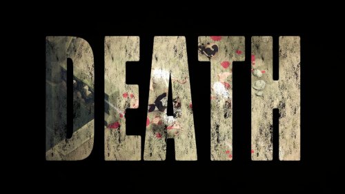 Screenshot of Death's Door