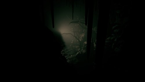 Screenshot of Outlast 2