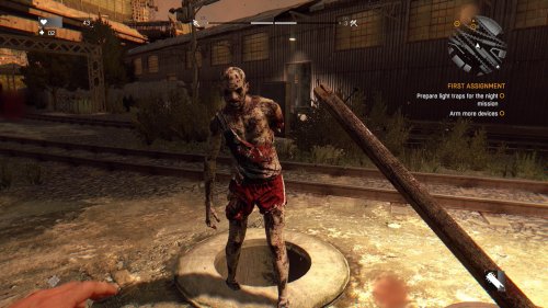 Screenshot of Dying Light