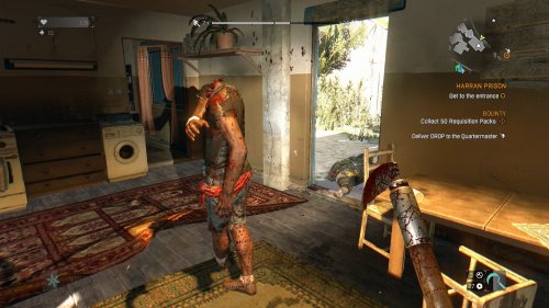 Screenshot of Dying Light