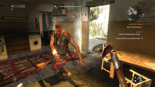 Screenshot of Dying Light