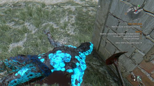 Screenshot of Dying Light