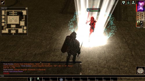 Screenshot of Neverwinter Nights: Enhanced Edition