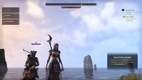 Screenshot of The Elder Scrolls® Online