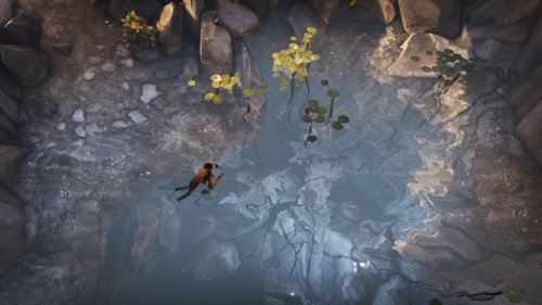 Screenshot of Brothers - A Tale of Two Sons