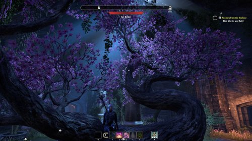 Screenshot of The Elder Scrolls® Online