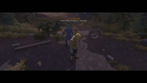 Screenshot of The Black Grimoire: Cursebreaker