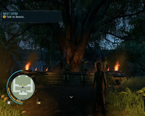 Screenshot of Far Cry 3