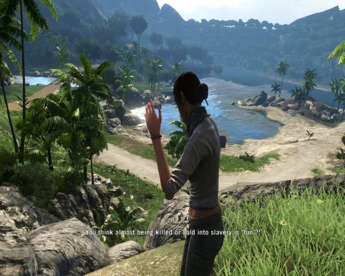 Screenshot of Far Cry 3