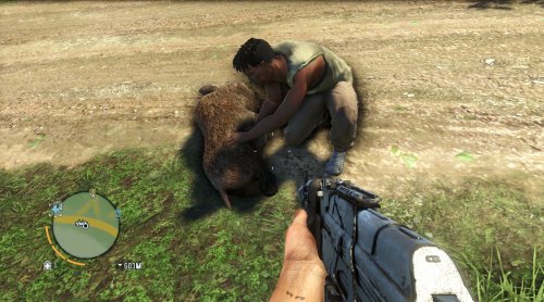 Screenshot of Far Cry 3