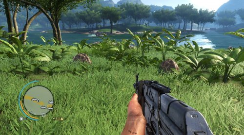 Screenshot of Far Cry 3