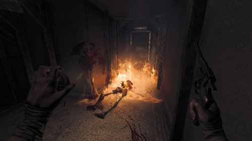 Screenshot of Amnesia: The Bunker