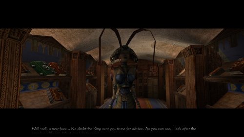 Screenshot of Arx Fatalis