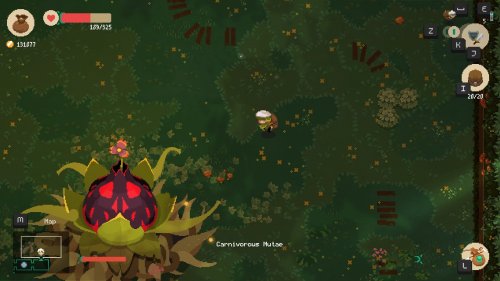 Screenshot of Moonlighter