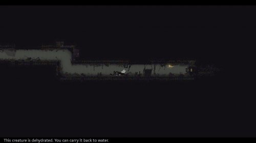 Screenshot of Rain World