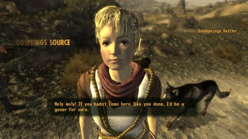 Screenshot of Fallout: New Vegas
