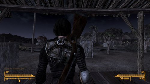 Screenshot of Fallout: New Vegas