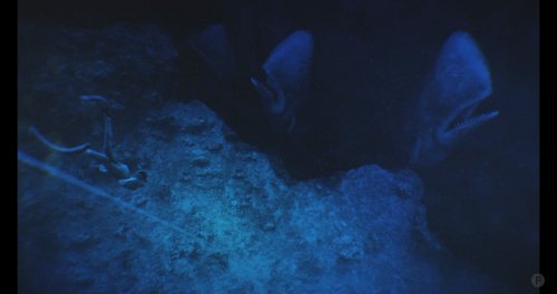 Screenshot of Beyond Blue