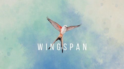 Screenshot of Wingspan